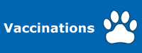 Pet Vaccinations Services