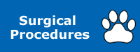 Pet Surgical Procedure Services