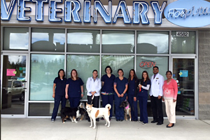 Issaquah Veterinary Pet Hospital Staff